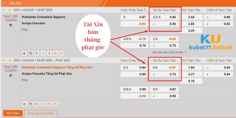 Tìm hiểu hình thức Bet kèo Tài Xỉu tại thể thao Kubet77